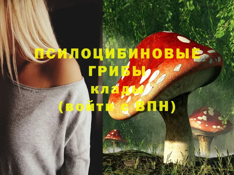 Галлюциногенные грибы Psilocybe  Красногорск 